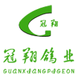 我國肉鴿業現狀